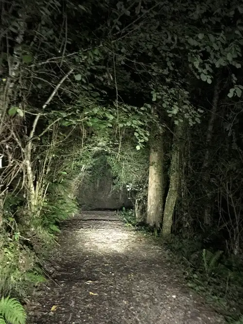 #Historia en la naturaleza