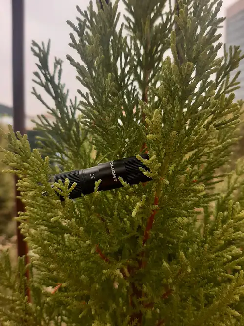 Bendiciones Olight #1ºAniversario