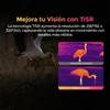 Mejora tu visión con TISR. Imágenes térmicas de aves: antes y después de TISR, destacando la nitidez mejorada.