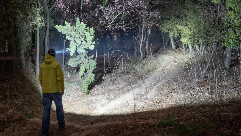 Guía completa de la luz ultravioleta portátil y sus usos prácticos en el móvil o con linterna uv y roja