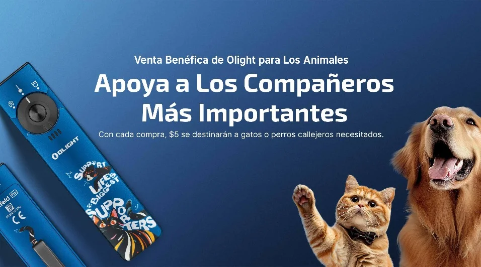Las Mejores Linternas LED del Mercado Calidad Precio y las Marcas Más Vendidas